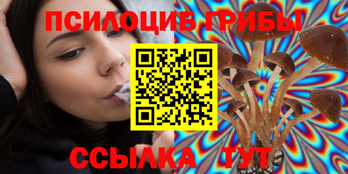 Псилоцибиновые грибы MAGIC MUSHROOMS  цена наркотик  Вход с VPN  Петропавловск-Камчатский  Галлюциногенные грибы GOLDEN TEACHER 